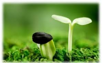 Bà lão ăn mày và đứa bé
